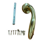 GHIDINI PIETRO BOSCO "AIRONE" Q8M RB OLV COLORE ORO LUCIDO