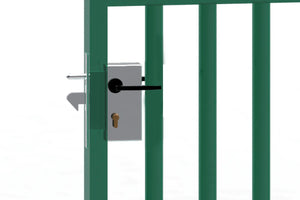 IBFM_447_applicativa_sicisrl