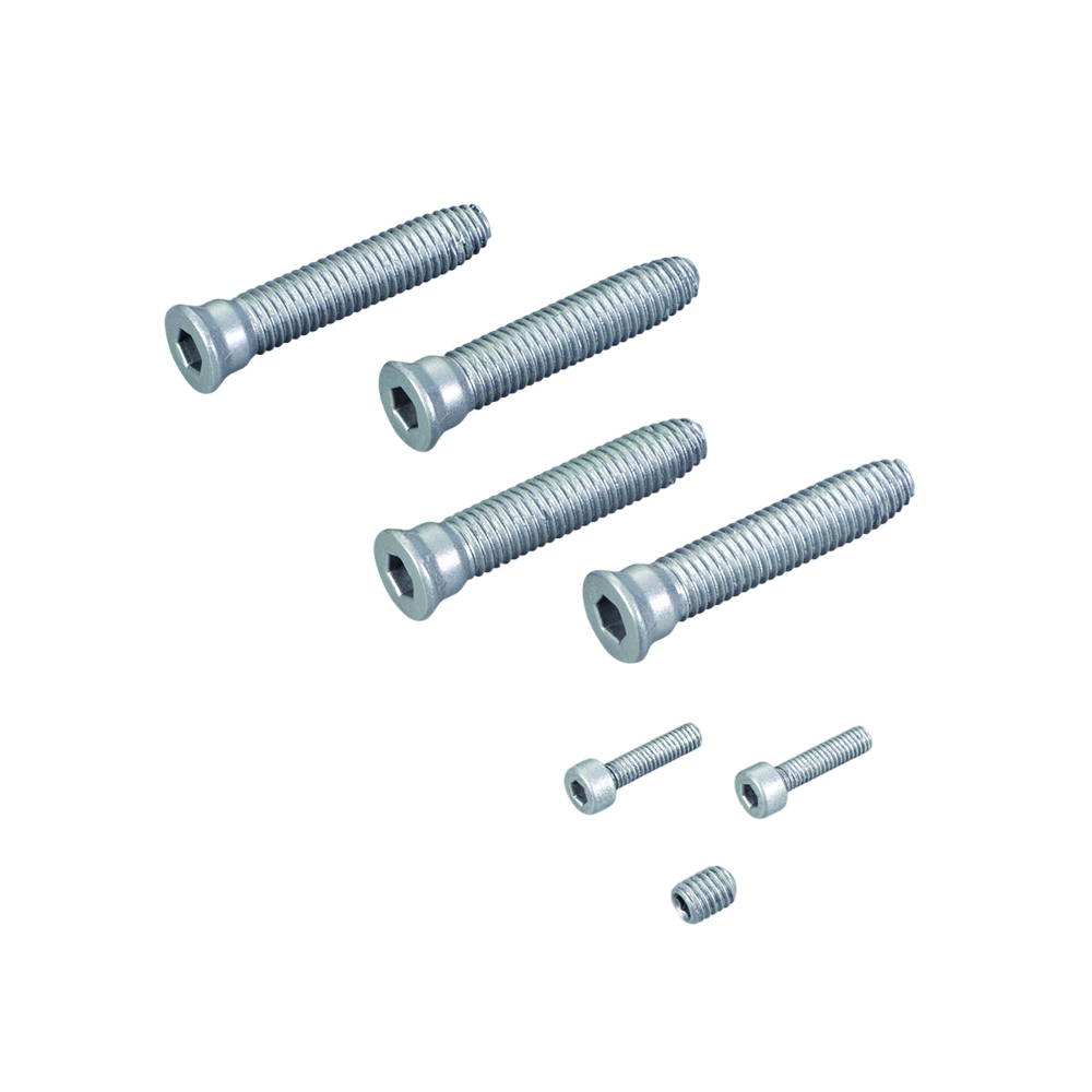 SAVIO_1145_741_sicisrl