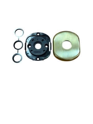 GHIDINI PIETRO BOSCO GHIBLI-2 ROSETTA 62X70 F.20 COLORE ORO LUCIDO